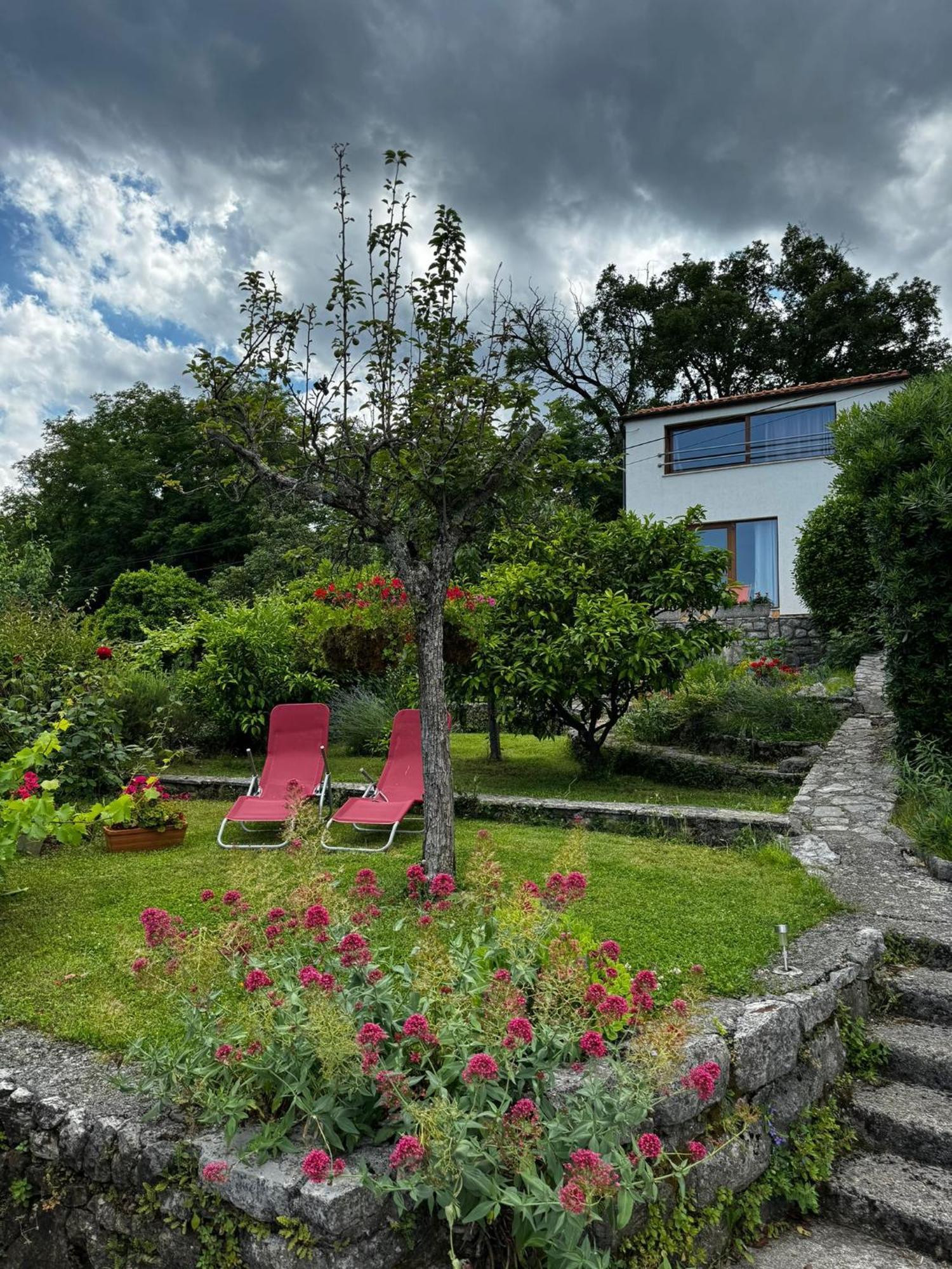 Apartament Perla - With Sea View